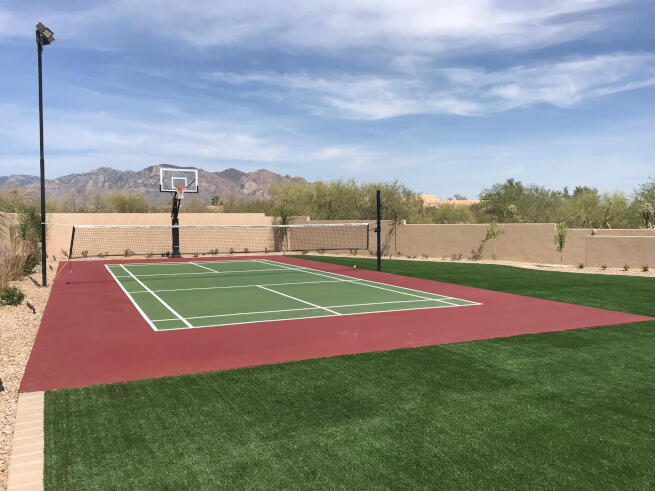 Detroit and all of Michigan Pickleball Court and Basketball Net